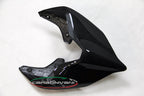Carbonvani - Ducati Panigale / Streetfighter V4 / V2 / S / R / Speciale Carbon Fiber Tail - Road Version