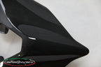 Carbonvani - Ducati Panigale / Streetfighter V4 / V2 / S / R / Speciale Carbon Fiber Tail - Road Version