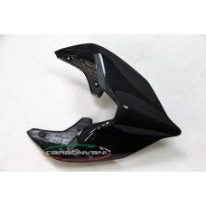 Carbonvani - Ducati Panigale / Streetfighter V4 / V2 / S / R / Speciale Carbon Fiber Tail - Road Version