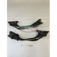 Carbonvani - Ducati Panigale V4 Carbon Fiber Underseat Tail Fairing Panels (pair) (2025+)