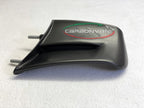 Carbonvani - Ducati Panigale V4 / S / R / SP Carbon Fiber Winglets (22-24)