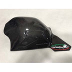 Carbonvani - Ducati Panigale V4 / S / R / Speciale Carbon Fiber Swingarm Guard - Competition Version