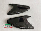 Carbonvani - Ducati Panigale V4 / S / SP (2022+) Carbon Fiber Tank Sliders