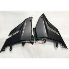 Carbonvani - Ducati Streetfighter V4 / S Carbon Fiber Belly Pan (2 piece)