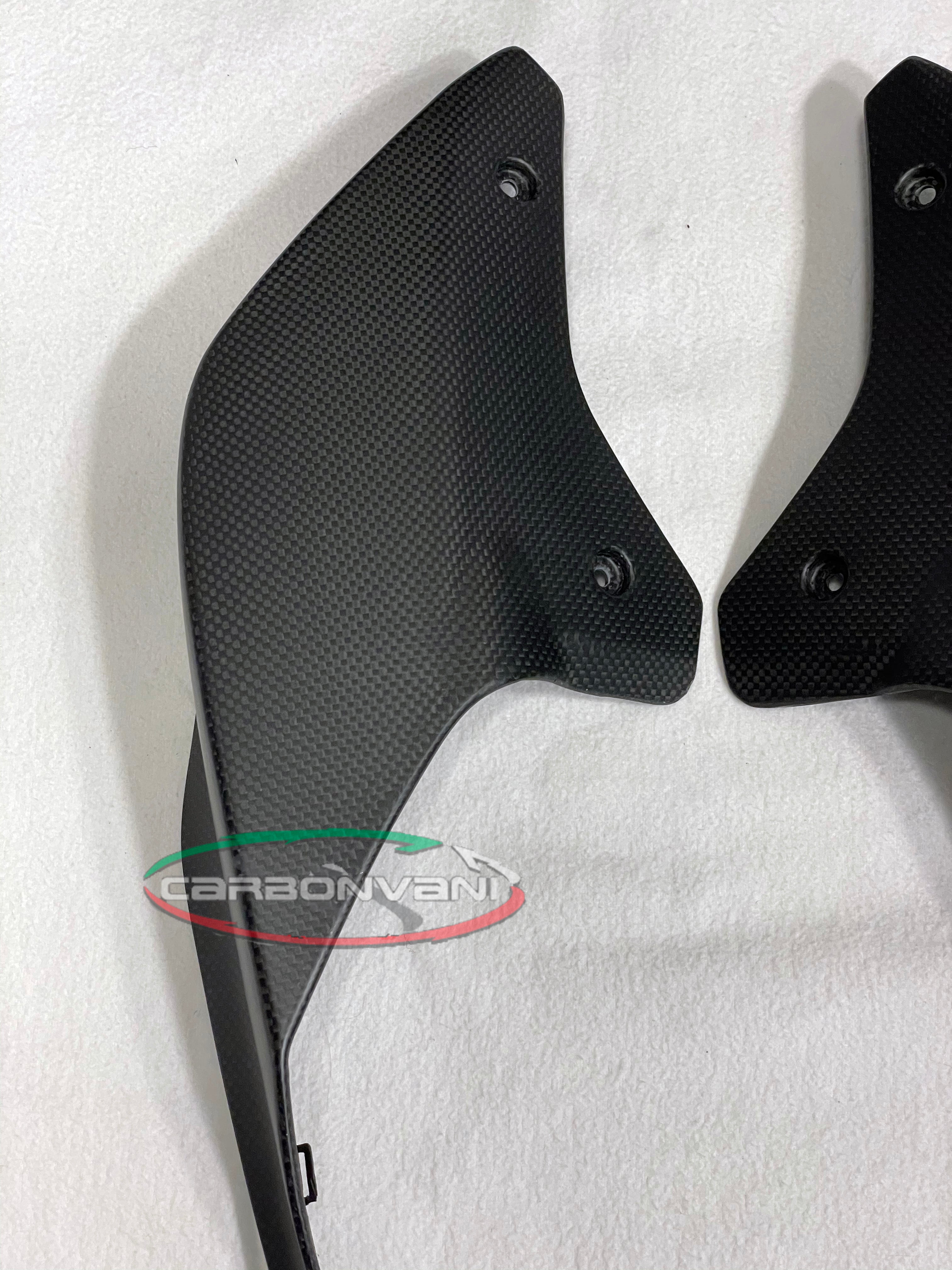 Carbonvani - Ducati Streetfighter V4 / V2 and Panigale V2 Carbon Fiber Road Tail For Seat (2 piece)
