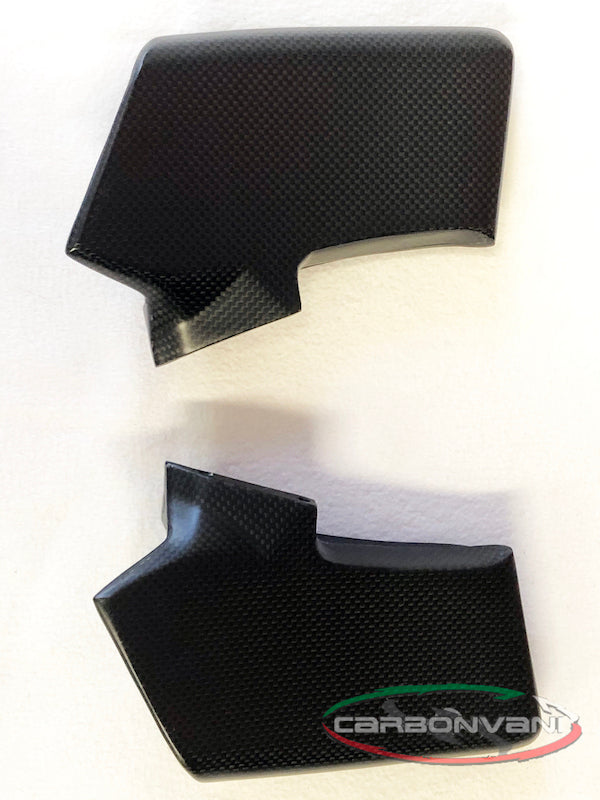 Carbonvani - Ducati Streetfighter V4 / V2 Carbon Fiber Winglet Kit (4 pieces)