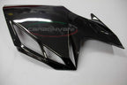 CARBONVANI - MV AGUSTA F4 CARBON FIBER RH SIDE PANEL (2010+)
