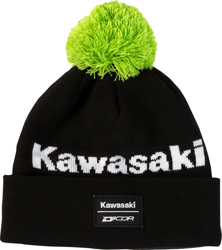 D'COR Visuals Stripe Beanie