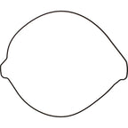 VERTEX Clutch Cover Gasket - 819267