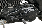 HAWG HALTERS Dominator Mid Controls