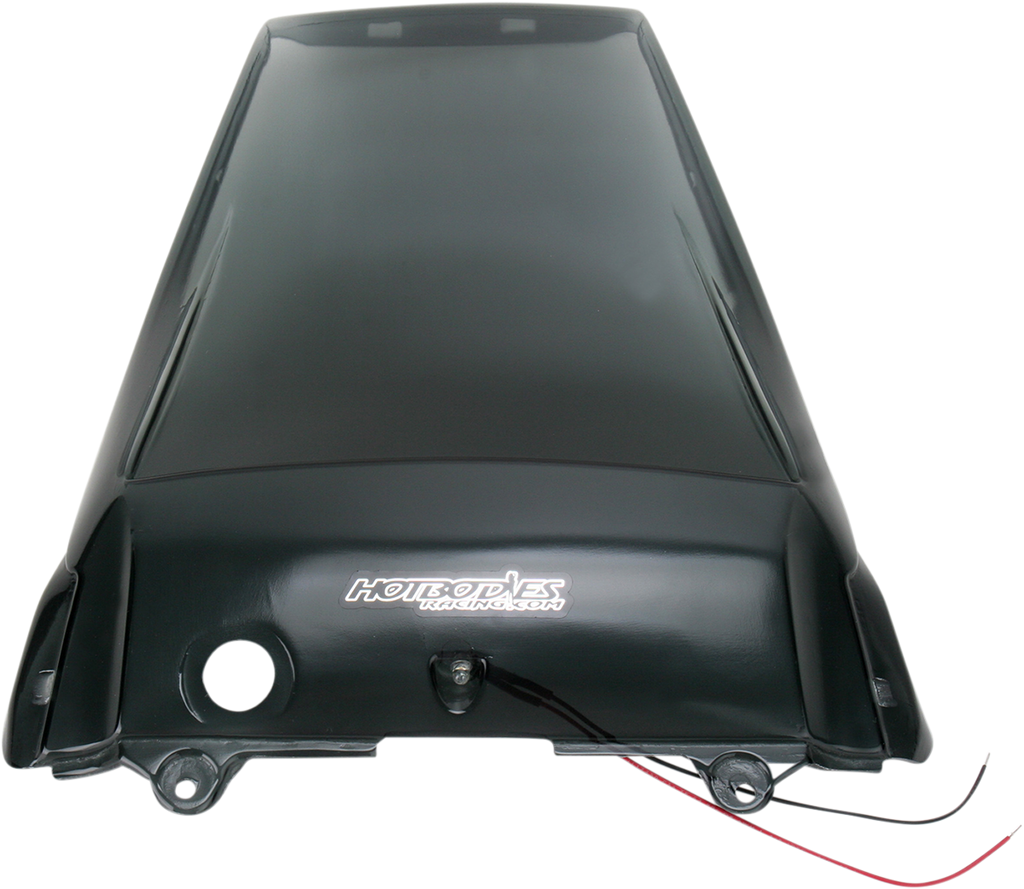 HOT BODIES Transparent Smoke Undertail - Undertail / Transparent Smoke / Kawasaki / ZX-10R 0521-0896