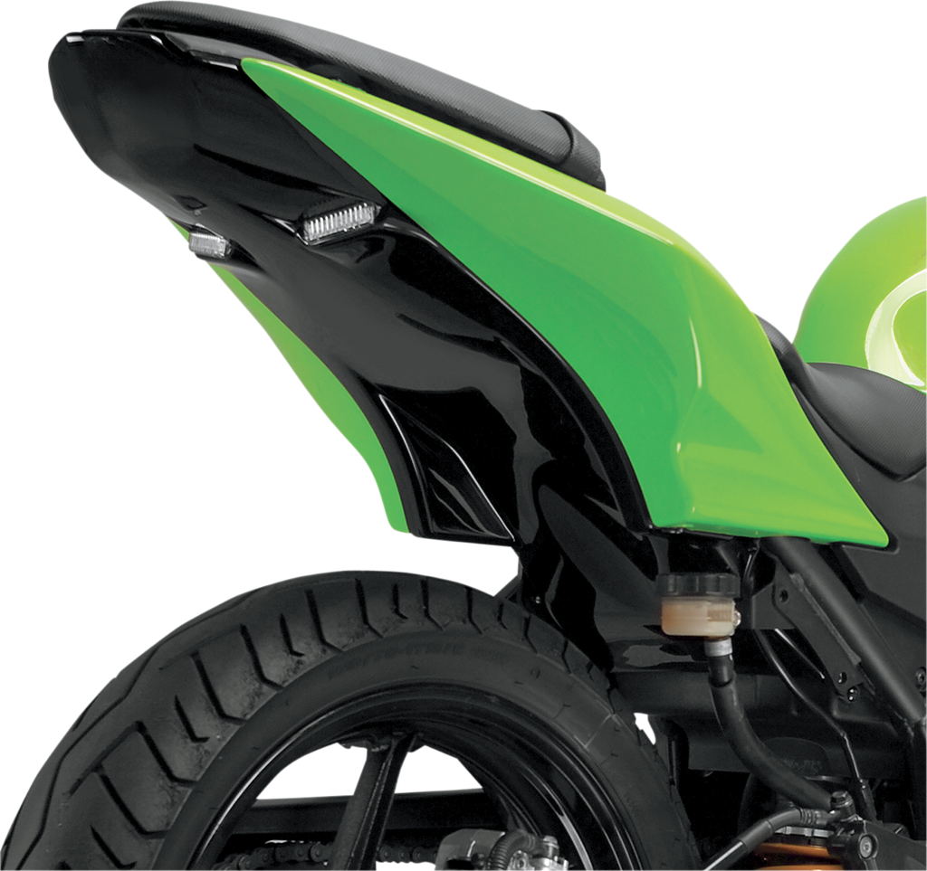 HOT BODIES Transparent Smoke Undertail - Undertail / Transparent Smoke / Kawasaki / ZX-10R 0521-0896