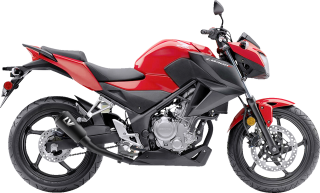 LeoVince LV-10 Slip-On Muffler - Black Stainless Steel - CBR300