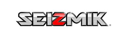 Seizmik