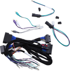 SADDLE TRAMP Amplifier Harness