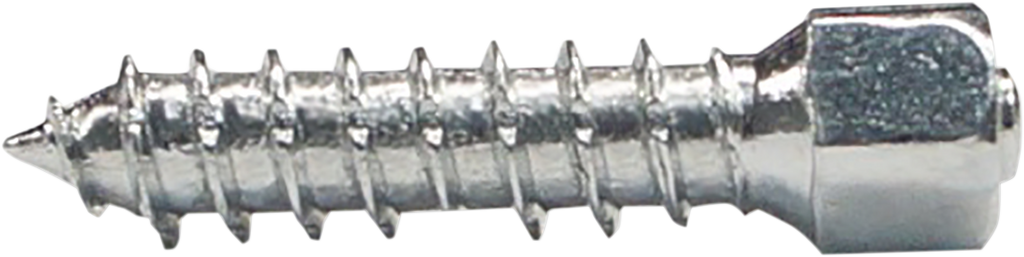 WOODY'S Twist Tire Screws