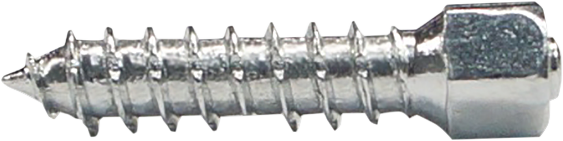 WOODY'S Twist Tire Screws