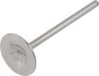 XCELDYNE Exhaust Valve - 0926-0491