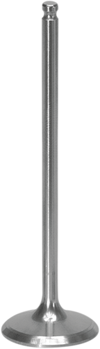 XCELDYNE Exhaust Valve - 0926-0491