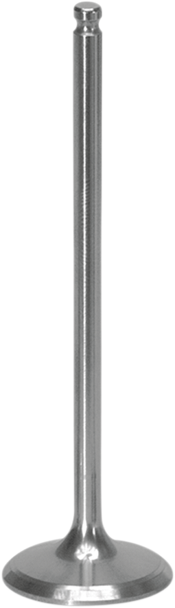 XCELDYNE Intake Valve - 0926-0469